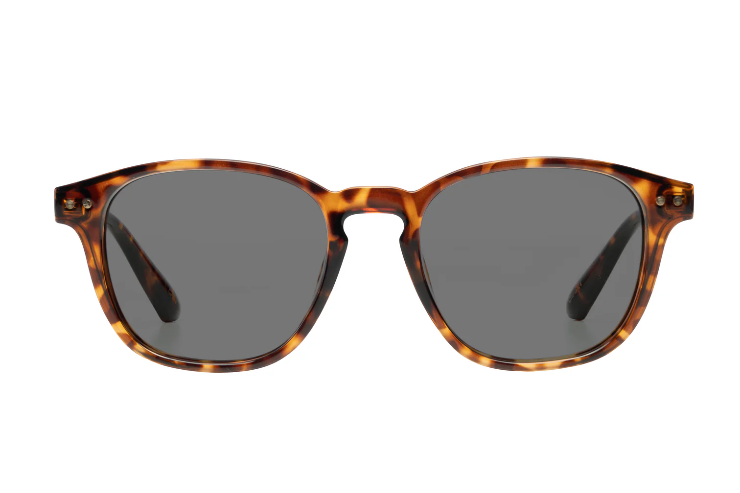 PHOENIX - POLARISED DEMI - Imagen 2
