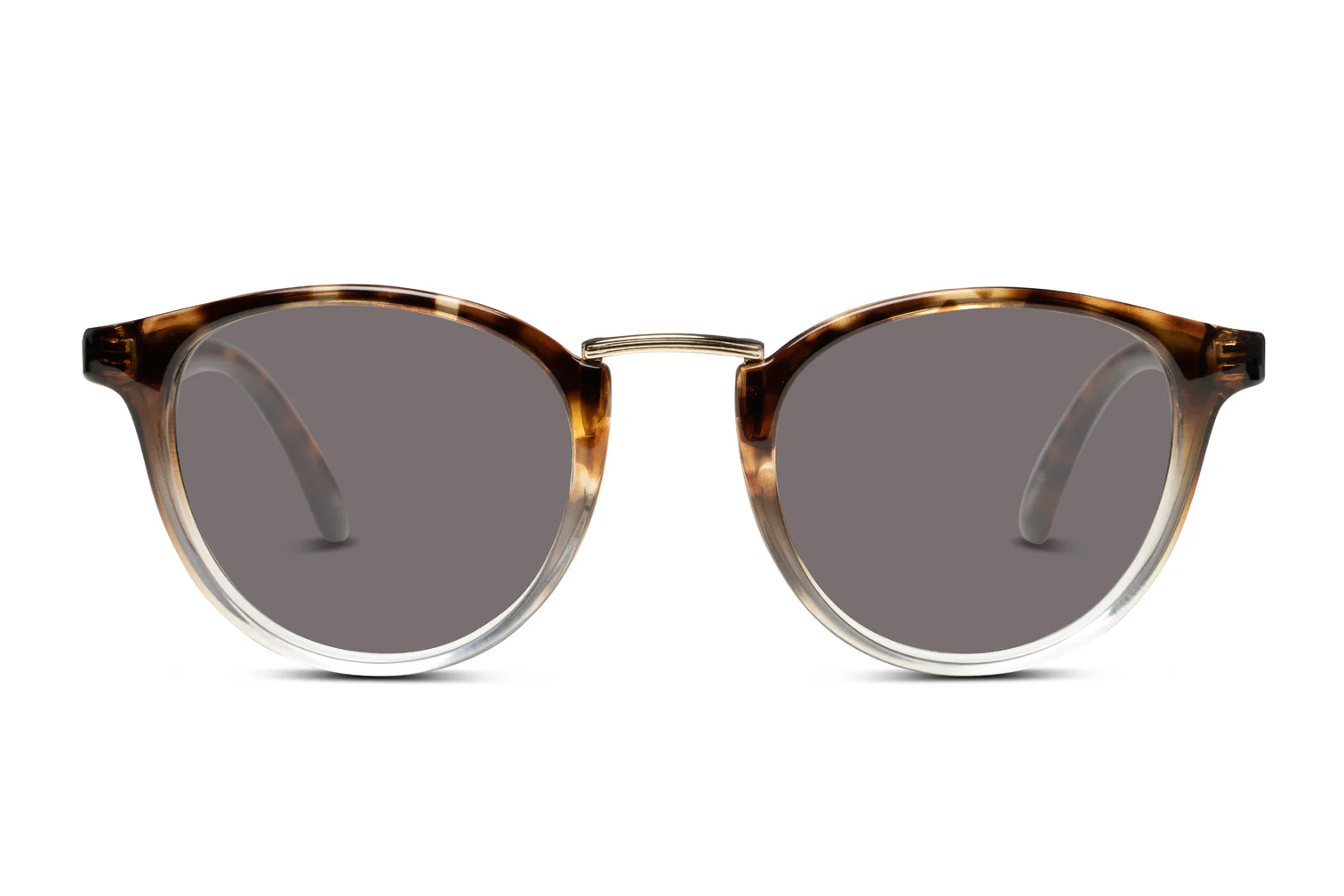 FELINE POLAR BLACK GOLD TORT - Imagen 2